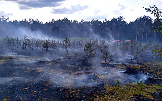 RCB ostrzega przed dużym zagrożeniem pożarowym w lasach